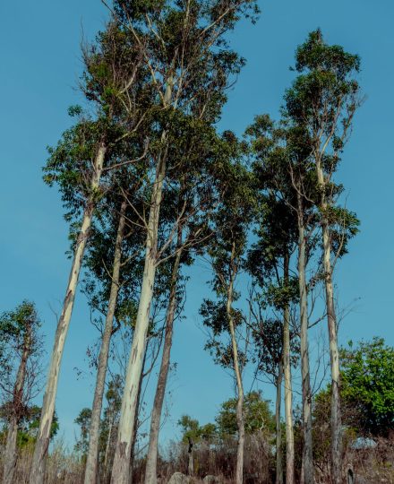 edouard-tamba-9mVGSs2sGvU-unsplash