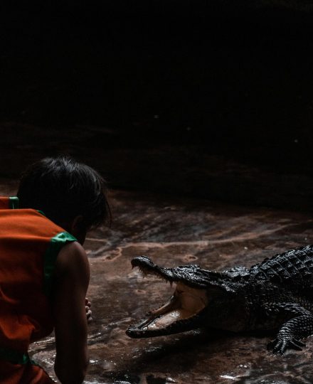 pexels-patrick-kiekebos-844720-22681594